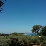Viva Molindrio