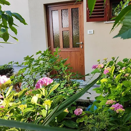 And Viva Molindrio بوريتش