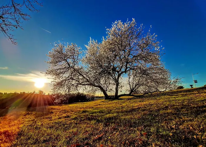 شقة And Viva Molindrio