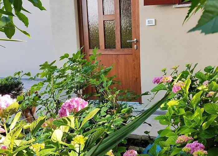 And Viva Molindrio بوريتش