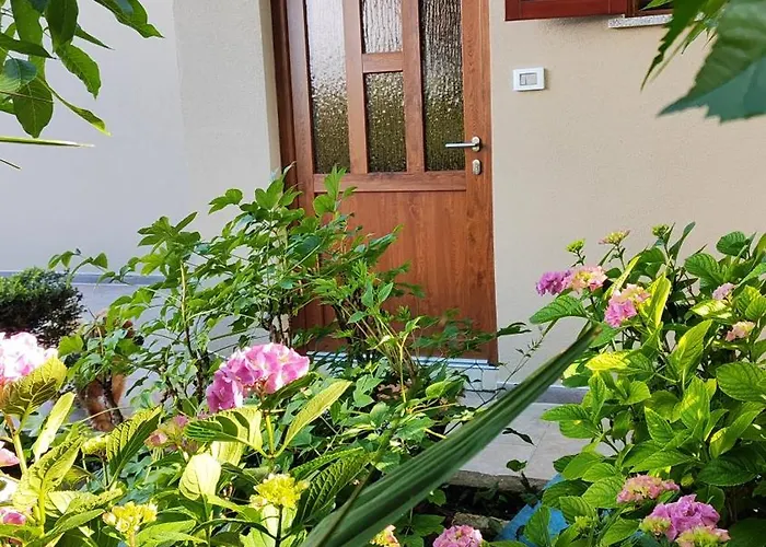 And Viva Molindrio بوريتش