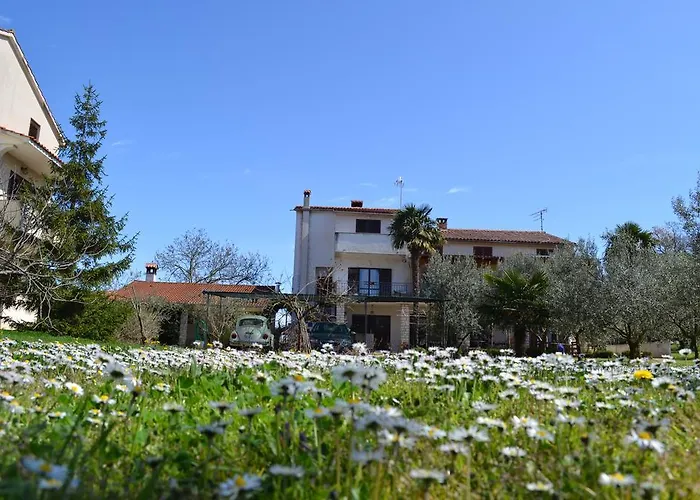 Viva Molindrio * Poreč