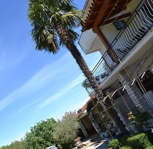 And Viva Molindrio بوريتش