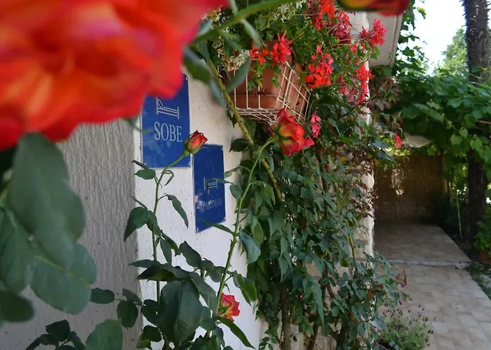 Viva Molindrio Poreč