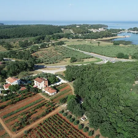 Viva Molindrio Apartman *