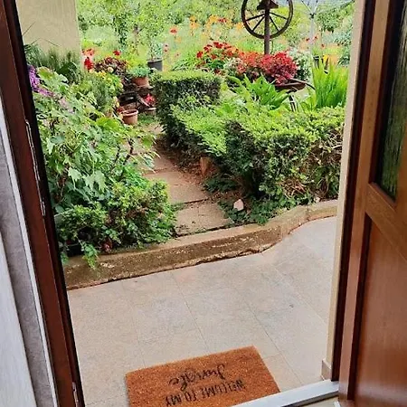 Viva Molindrio Appartement *