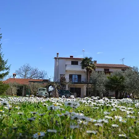 Viva Molindrio * Porec