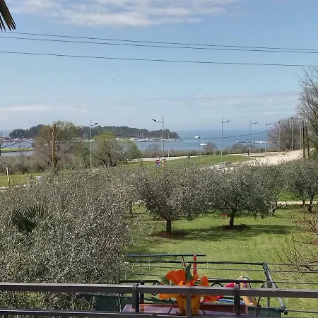 Apartman Viva Molindrio *