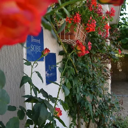 Viva Molindrio Porec