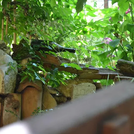 Viva Molindrio Apartman Porec