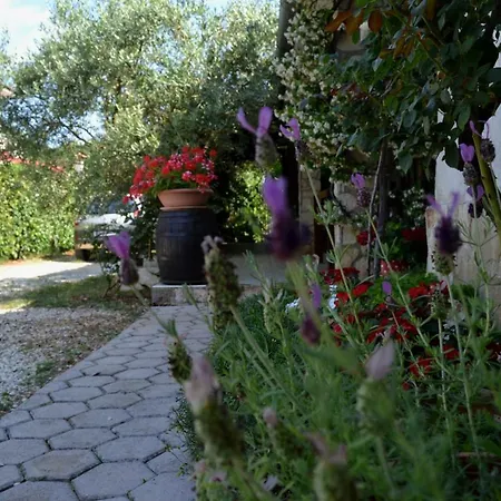 Apartman Viva Molindrio