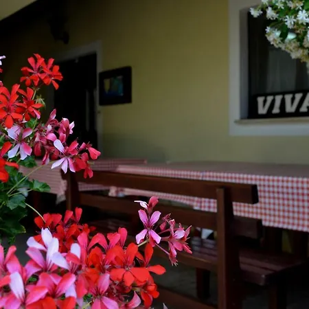 Apartman Viva Molindrio