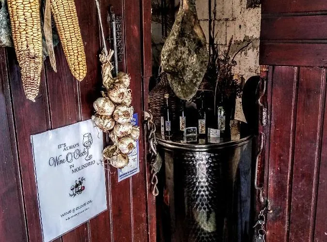 Apartment Viva Molindrio Poreč