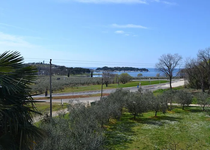 Viva Molindrio Apartament