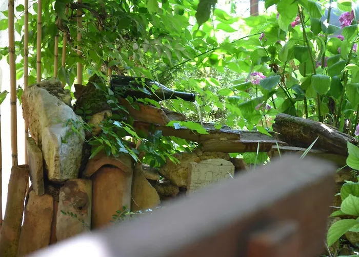 Viva Molindrio Appartement Poreč