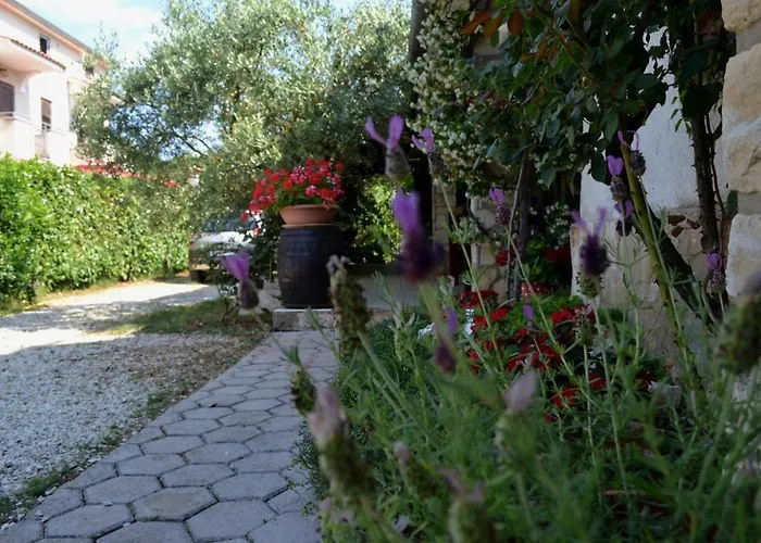 Appartement Viva Molindrio