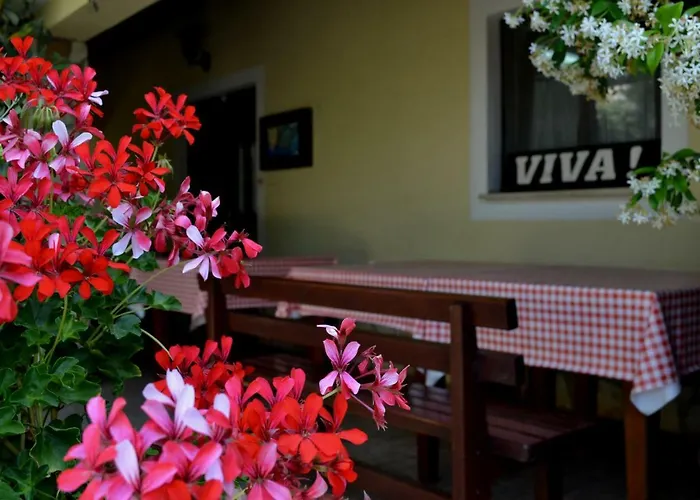 Apartament Viva Molindrio