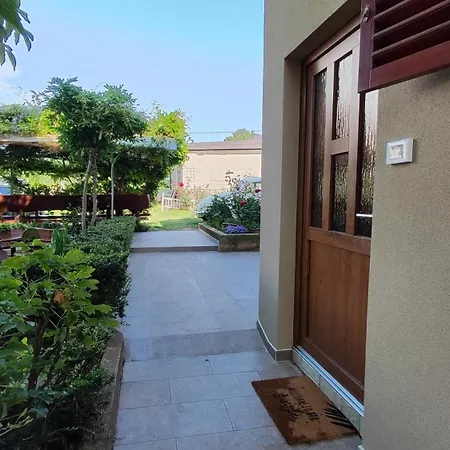 Viva Molindrio * פורץ