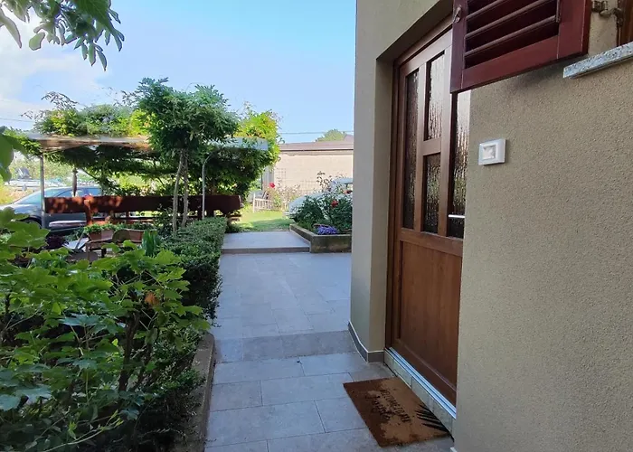 Viva Molindrio * פורץ