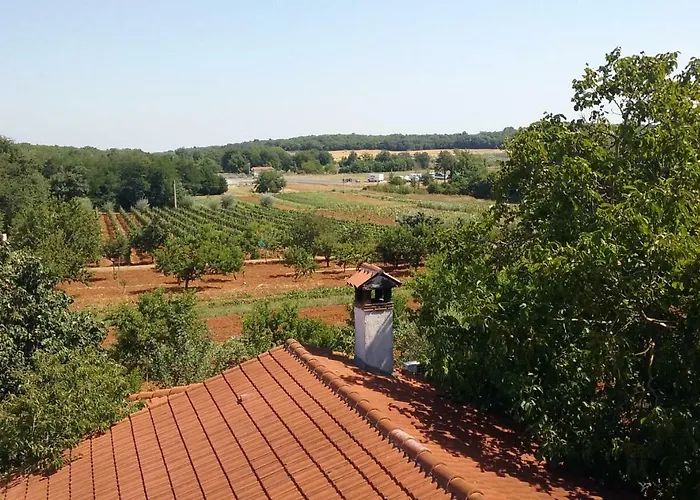 Viva Molindrio * פורץ